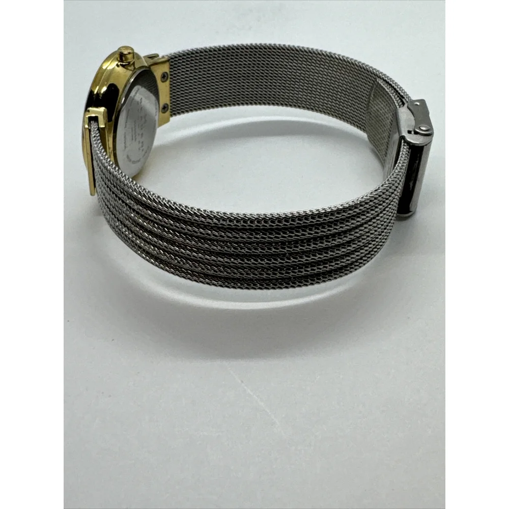 Skagen 355SGSS Women Silver Stainless Steel Mesh Analog Dial Wrist Watch JNA886